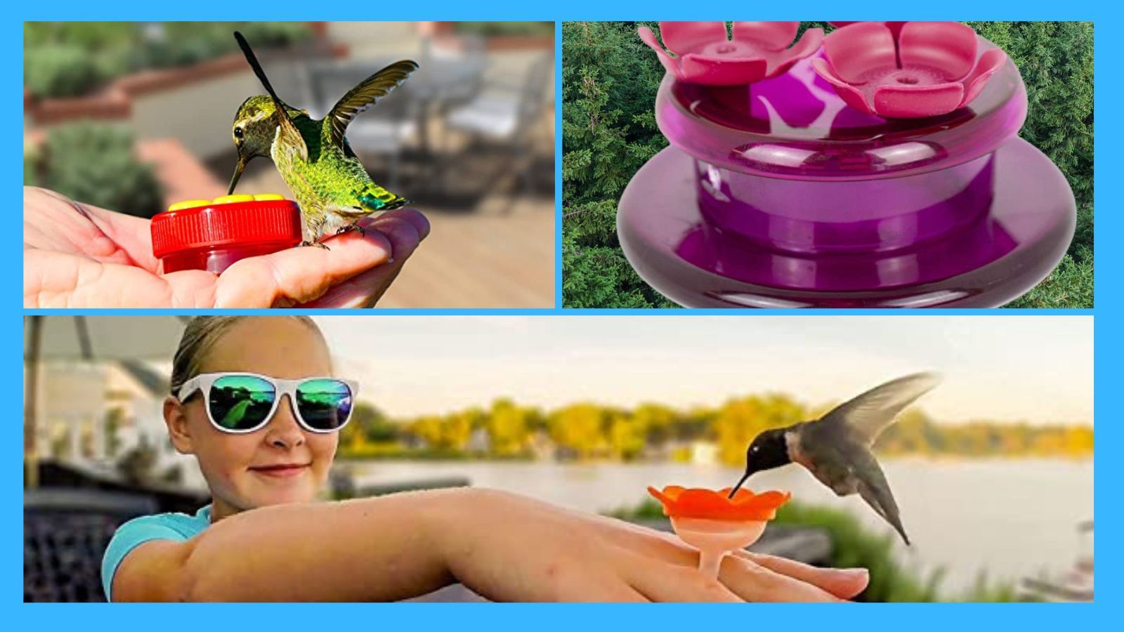 These 6 Handheld Hummingbird Feeders Are The Cutest Things You'll see
