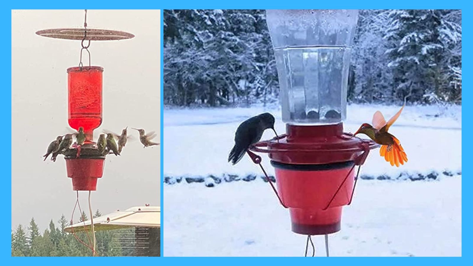 A Cold Weather Necessity The Right Hummingbird Feeder Heater for Your