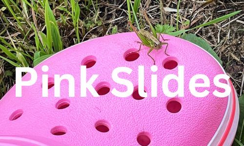 Pink Slides
