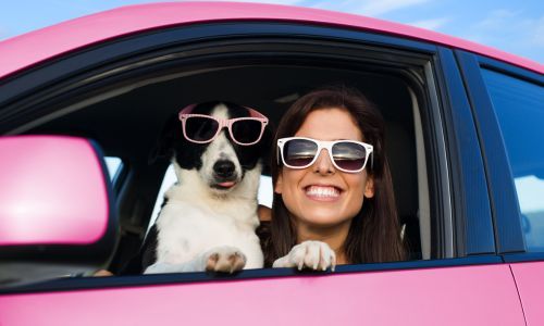 Pink Sunglasses