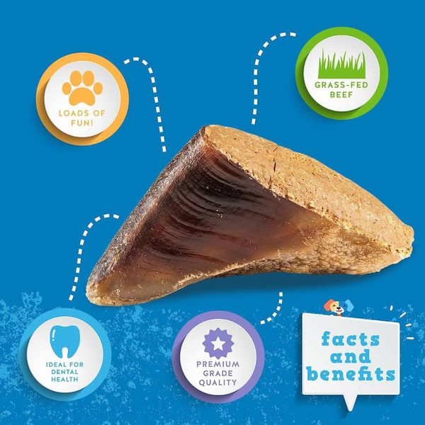 Why Cow Hooves are the MustHave Dog Treat of The Year!