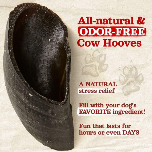 Why Cow Hooves are the Must-Have Dog Treat of The Year!